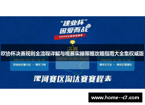 欧协杯决赛规则全流程详解与观赛实操策略攻略指南大全集权威版
